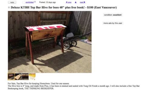 Beekeeping: Try Before You Buy Image